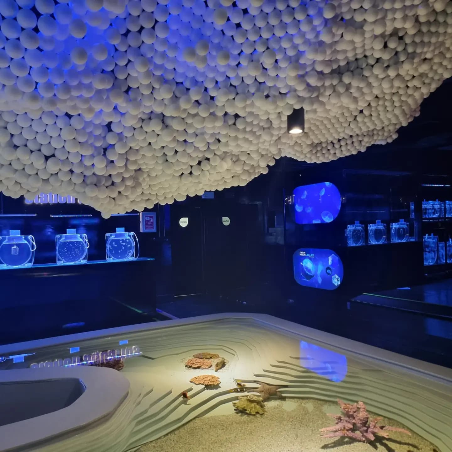 Aquarium Aquarium